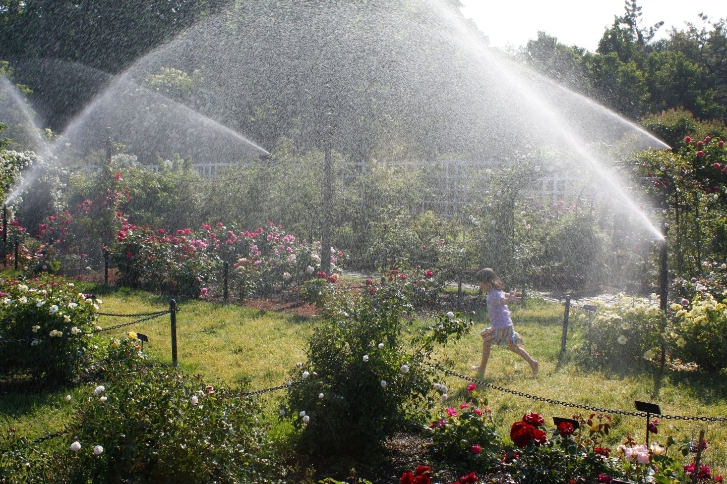 Фотограф: Мари Вильен
