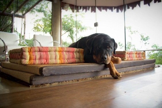 Фотография: Балкон, Терраса в стиле Прованс и Кантри, Современный – фото на INMYROOM