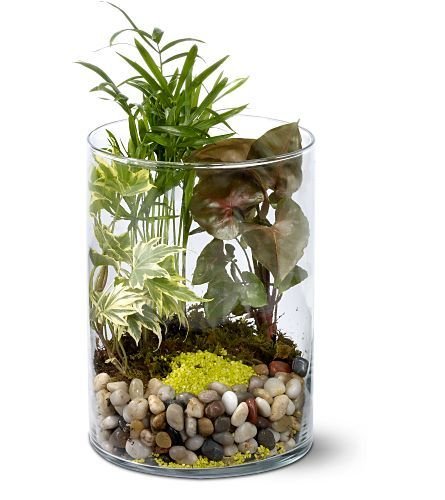 Фото из портфолио Флористика – фотографии дизайна интерьеров на InMyRoom.ru