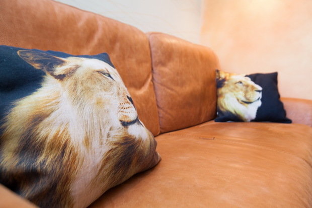 Фото из портфолио Диваны и подушки – фотографии дизайна интерьеров на INMYROOM