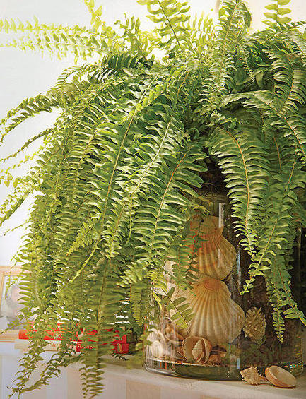 Фотография: Флористика в стиле , Стиль жизни – фото на InMyRoom.ru