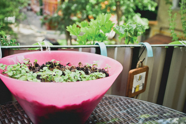 Фотография: Балкон, Терраса в стиле Прованс и Кантри, Декор интерьера, Интерьер комнат – фото на INMYROOM