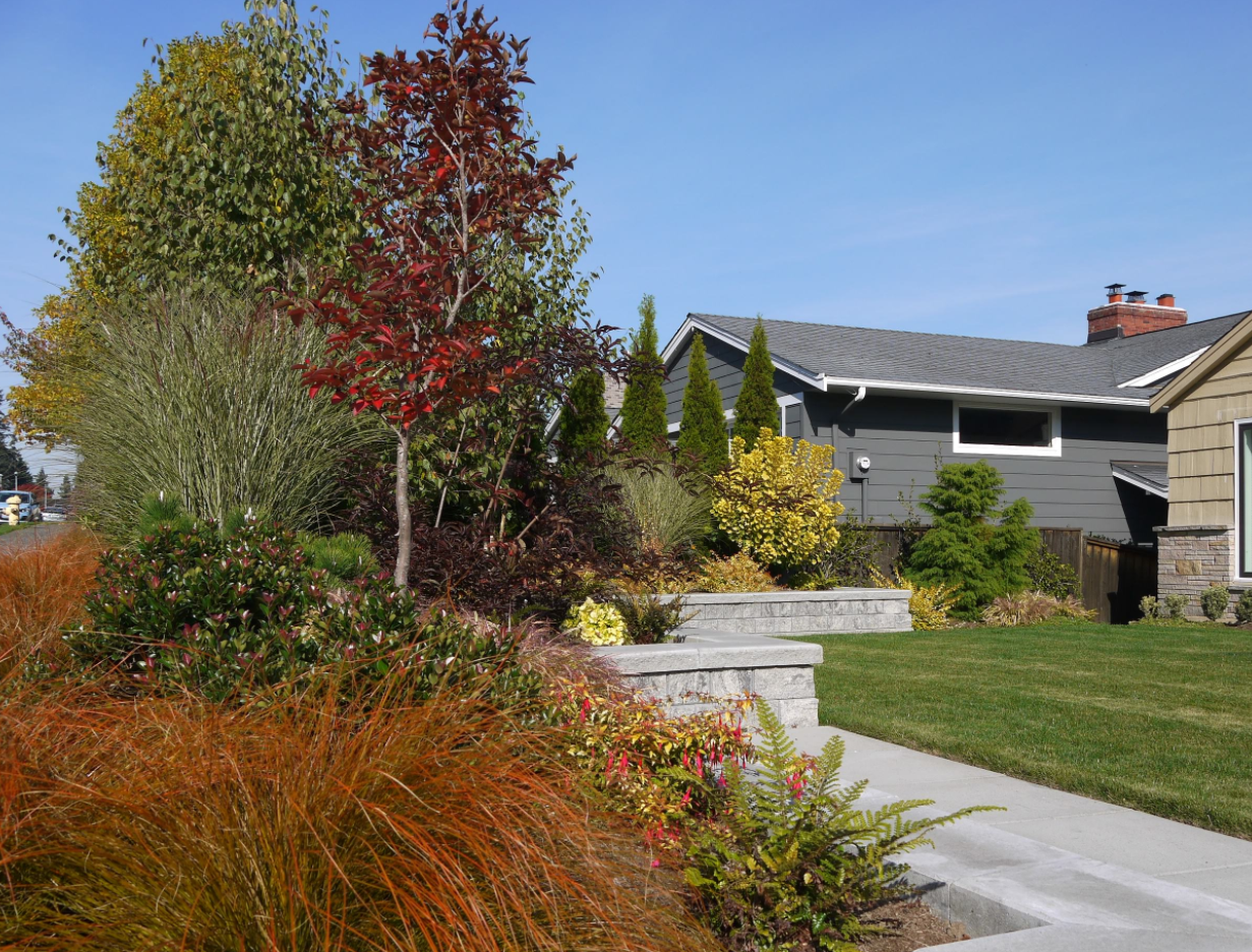 Фотография: Ландшафт в стиле , Дом и дача, Ирина Лукьянова, Дача осенью – фото на INMYROOM Фотография: Ландшафт в стиле , Дом и дача, Ирина Лукьянова, Дача осенью – фото на INMYROOM