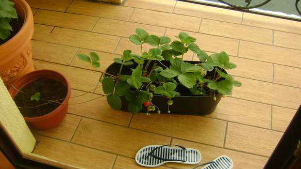 Фото из портфолио мой любимый дом – фотографии дизайна интерьеров на INMYROOM