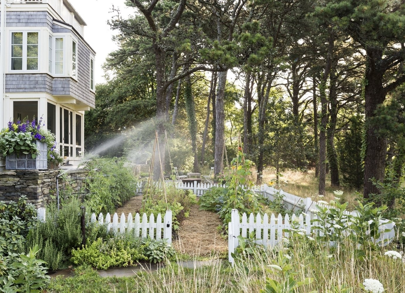 Фотограф: Мэтью Уильямс