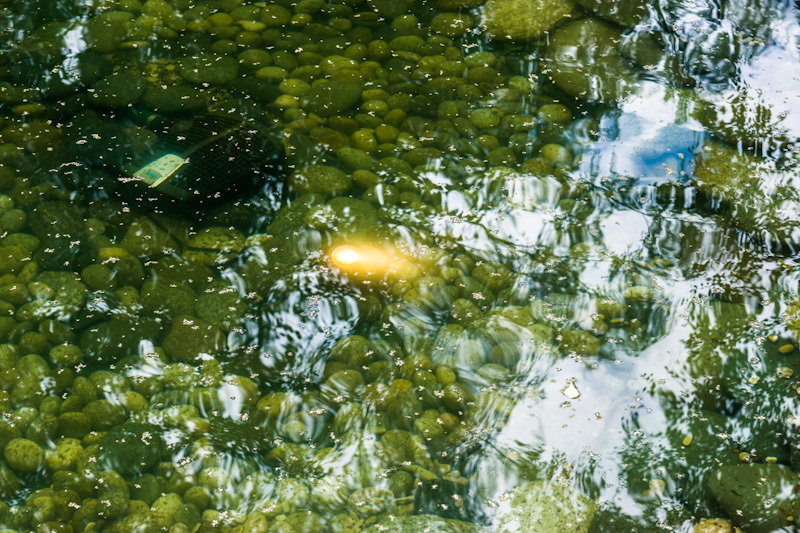 Фотография: Прочее в стиле , Дачный ответ, Беседка – фото на INMYROOM Фотография: Прочее в стиле , Дачный ответ, Беседка – фото на INMYROOM