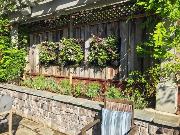 Фотография: Флористика в стиле , Советы, Дача, Дом и дача, ландшафтные работы, вертикальное озеленение – фото на INMYROOM