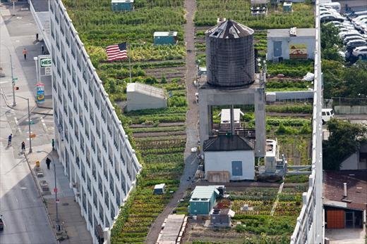Фотография: Ландшафт в стиле , Дома и квартиры, Городские места, Нью-Йорк – фото на INMYROOM