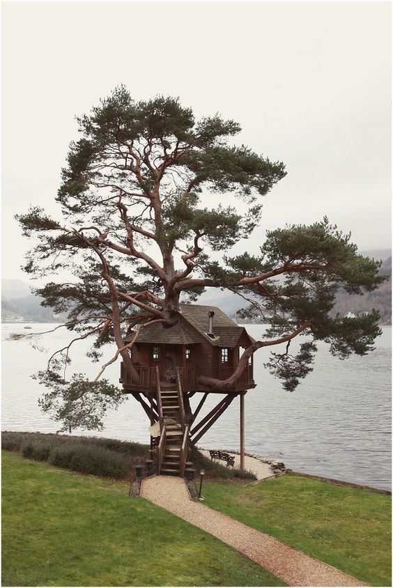 Фотография:  в стиле , Гид, Дом и дача, домик на дереве – фото на INMYROOM