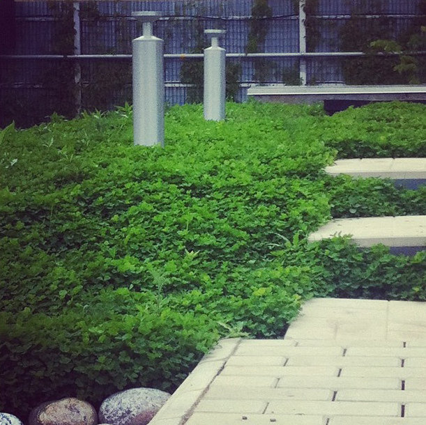 Фото из портфолио Дом и ландшафт – фотографии дизайна интерьеров на INMYROOM