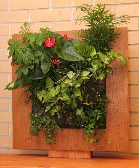 Фотография: Флористика в стиле , Декор интерьера, Офисное пространство, Ландшафт, Стиль жизни – фото на INMYROOM