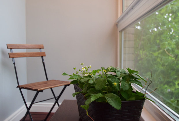 Фото из портфолио Детали – фотографии дизайна интерьеров на INMYROOM