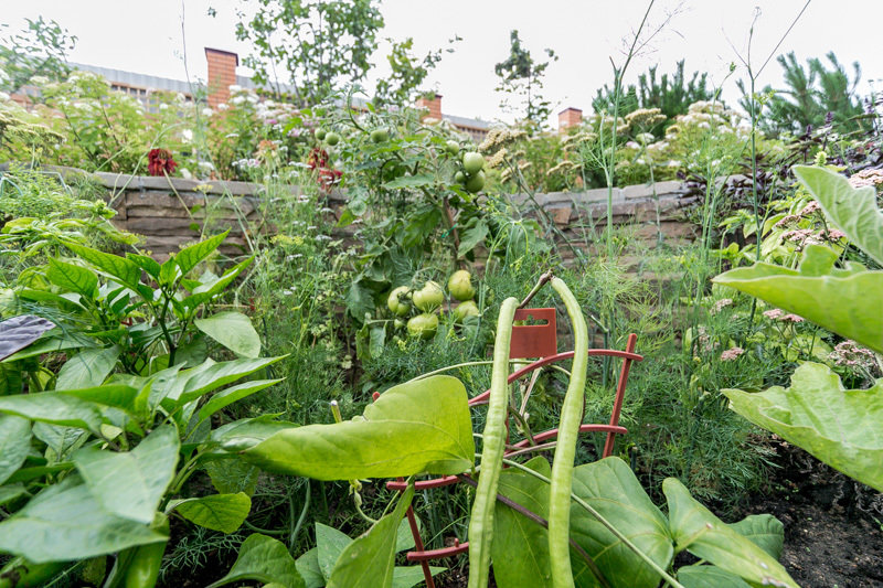 Фотография: Прочее в стиле , Ландшафт, Стиль жизни, Дачный ответ – фото на INMYROOM Фотография: Прочее в стиле , Ландшафт, Стиль жизни, Дачный ответ – фото на INMYROOM