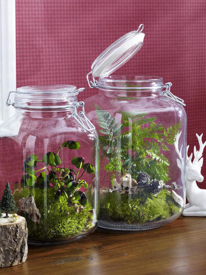 Фотография: Флористика в стиле , Декор интерьера, DIY – фото на INMYROOM