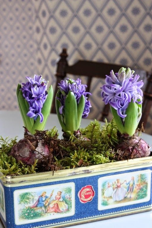 Фотография: Флористика в стиле , Прованс и Кантри, Классический, Лофт, Скандинавский, Эклектика, Декор интерьера, Декор, Советы, Эко, Элина Туктамишева – фото на INMYROOM