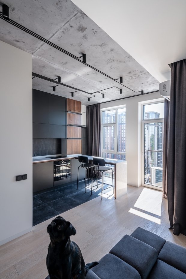 Фотография: Кухня и столовая в стиле Современный, Минимализм, Квартира, Студия, Проект недели, Киев, Lauri Brothers, Юрий Лаури, Сергей Лаури, Дмитрий Роганов – фото на INMYROOM