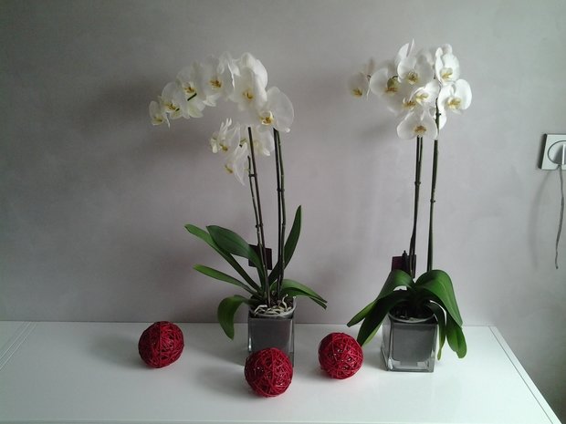 Фото из портфолио Квартира Свободного мужчины. – фотографии дизайна интерьеров на INMYROOM