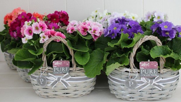 Фото из портфолио Portfolio – фотографии дизайна интерьеров на INMYROOM