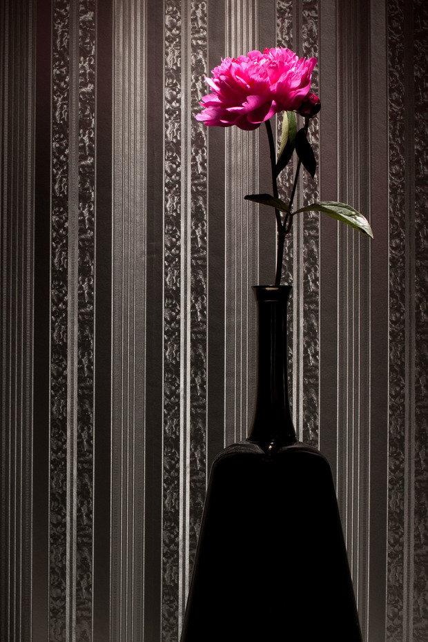 Фото из портфолио Мое избранное – фотографии дизайна интерьеров на INMYROOM