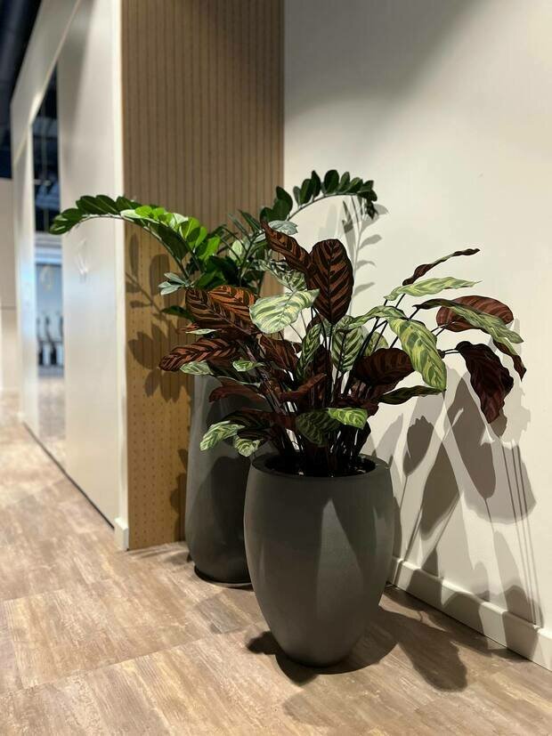 Фото из портфолио Офис Технодинамика г.Москва – фотографии дизайна интерьеров на INMYROOM