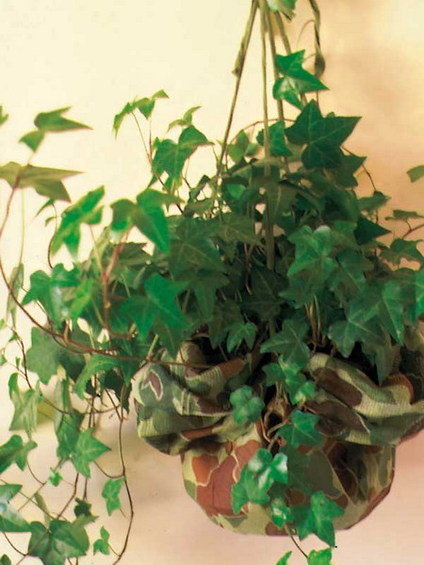 Фотография: Кабинет в стиле , Флористика, Стиль жизни – фото на INMYROOM