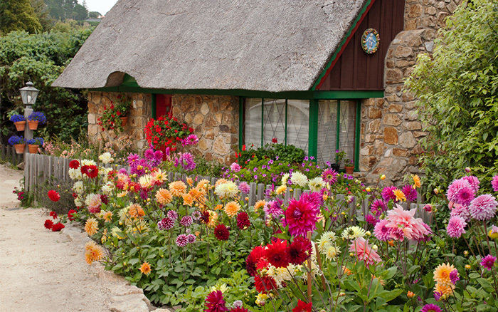 Фотография: Ландшафт в стиле , Советы, Дом и дача, Fiskars – фото на INMYROOM Фотография: Ландшафт в стиле , Советы, Дом и дача, Fiskars – фото на INMYROOM