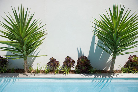 Фотография: Флористика в стиле , Ландшафт, Стиль жизни, Сад – фото на INMYROOM