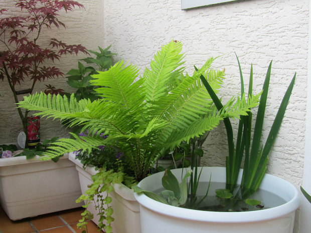 Фото из портфолио МОЙ БАЛКОН – фотографии дизайна интерьеров на INMYROOM