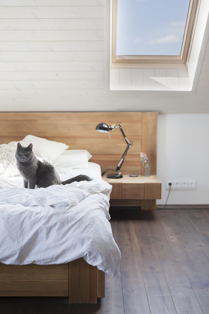 Фотография: Спальня в стиле Минимализм, Советы, энциклопедия_интерьер, ошибки в ремонте – фото на INMYROOM