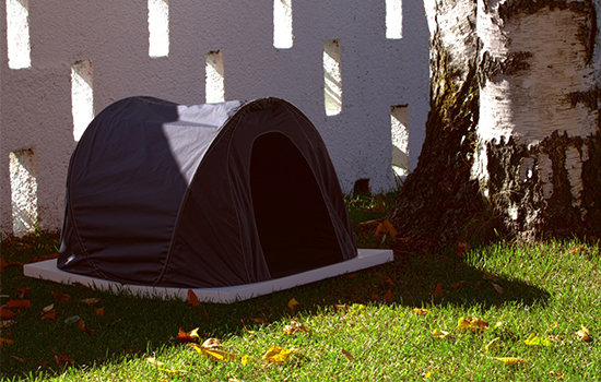 Фото из портфолио Flat for dogs – фотографии дизайна интерьеров на InMyRoom.ru