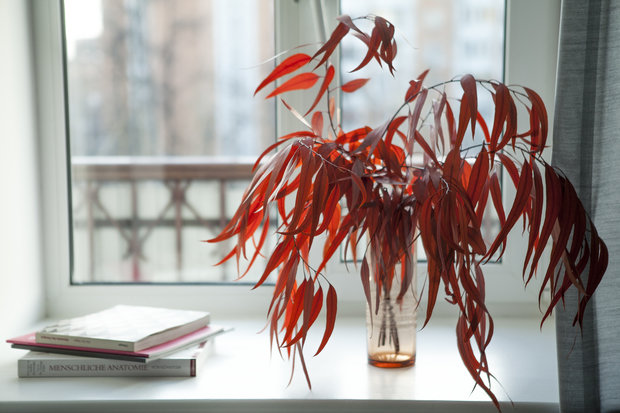 Фото из портфолио Квартира в сталинском доме, 63 м² – фотографии дизайна интерьеров на INMYROOM