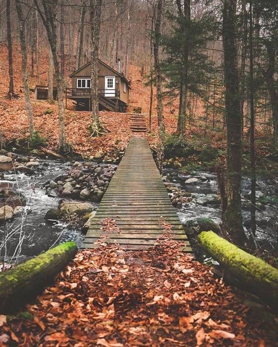 Фотография: Ландшафт в стиле , Дом, Дача, Гид – фото на INMYROOM