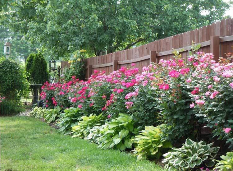 Фотография: Ландшафт в стиле , Советы, Дом и дача, Илья Менжунов – фото на INMYROOM