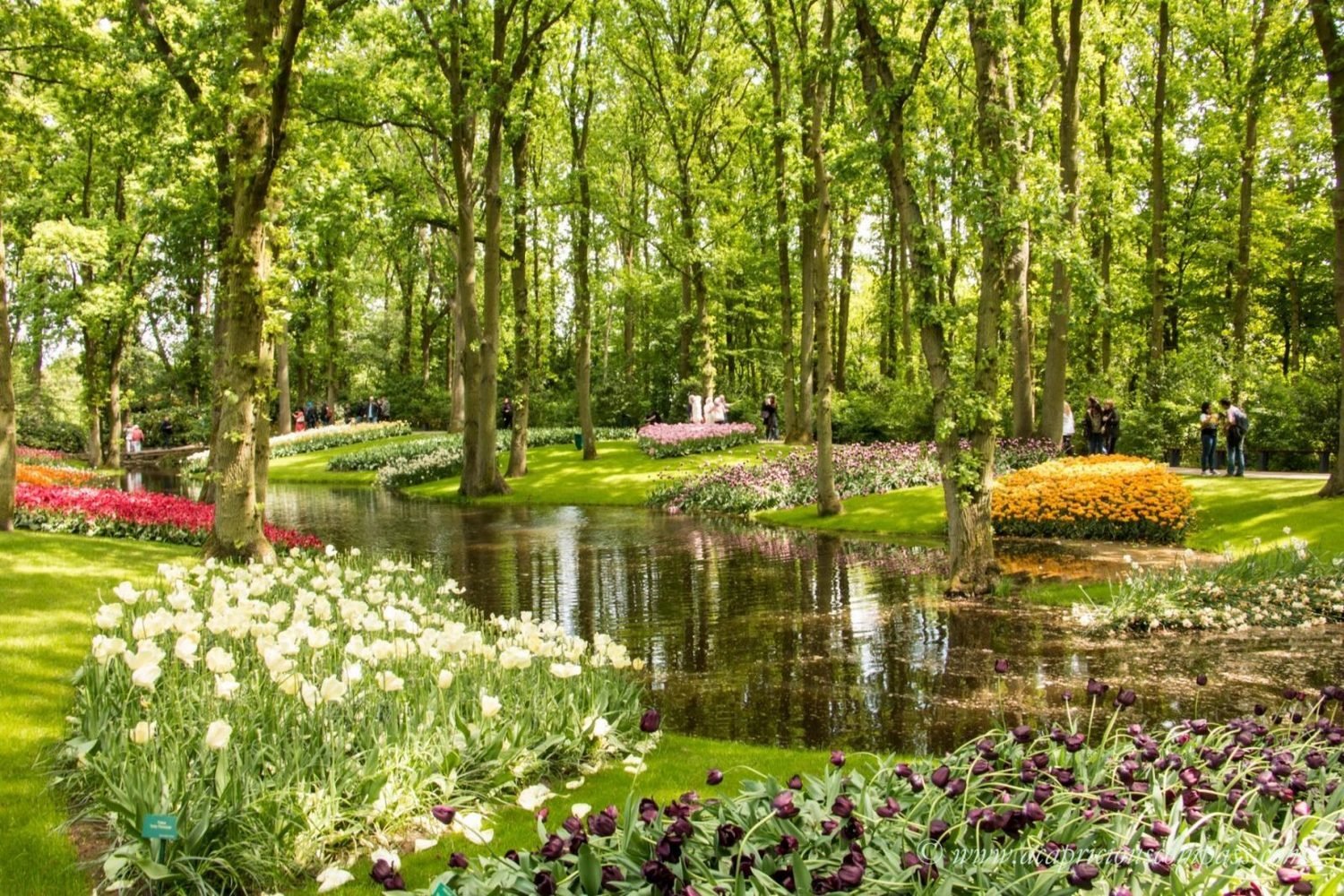 Фотография: в стиле , Ландшафт, Гид – фото на INMYROOM Фотография: в стиле , Ландшафт, Гид – фото на INMYROOM