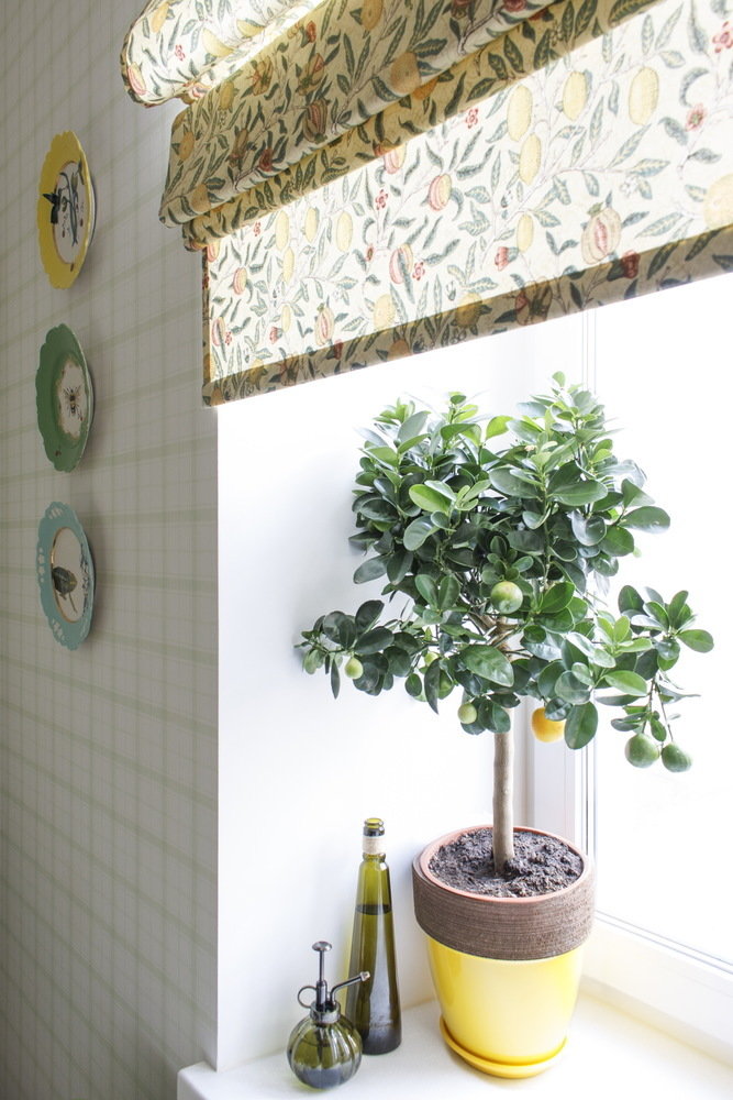 Фотография: Кухня и столовая в стиле Современный, Квартира, Проект недели, Москва, Екатерина Чистова, Сталинка, 2 комнаты, 60-90 метров – фото на INMYROOM Фотография: Кухня и столовая в стиле Современный, Квартира, Проект недели, Москва, Екатерина Чистова, Сталинка, 2 комнаты, 60-90 метров – фото на INMYROOM