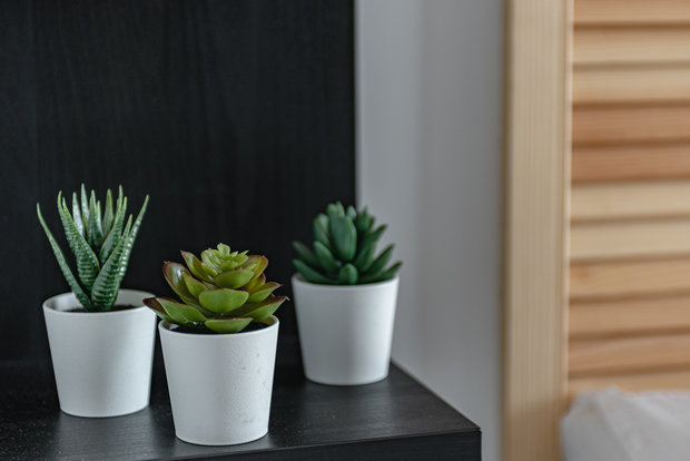 Фото из портфолио Апельсиновый фреш – фотографии дизайна интерьеров на INMYROOM