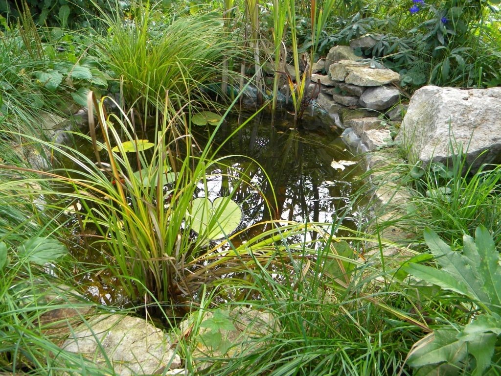 Фотография: в стиле , Дом и дача, Леруа Мерлен, Leroy Merlin – фото на INMYROOM Фотография: в стиле , Дом и дача, Леруа Мерлен, Leroy Merlin – фото на INMYROOM