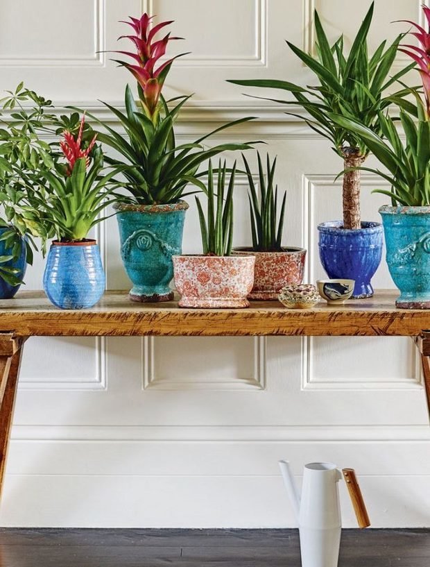 Фотография: Флористика в стиле , Декор интерьера, Зеленый, растения в горшках в интерьере, комнатные растения для ванной комнаты – фото на INMYROOM