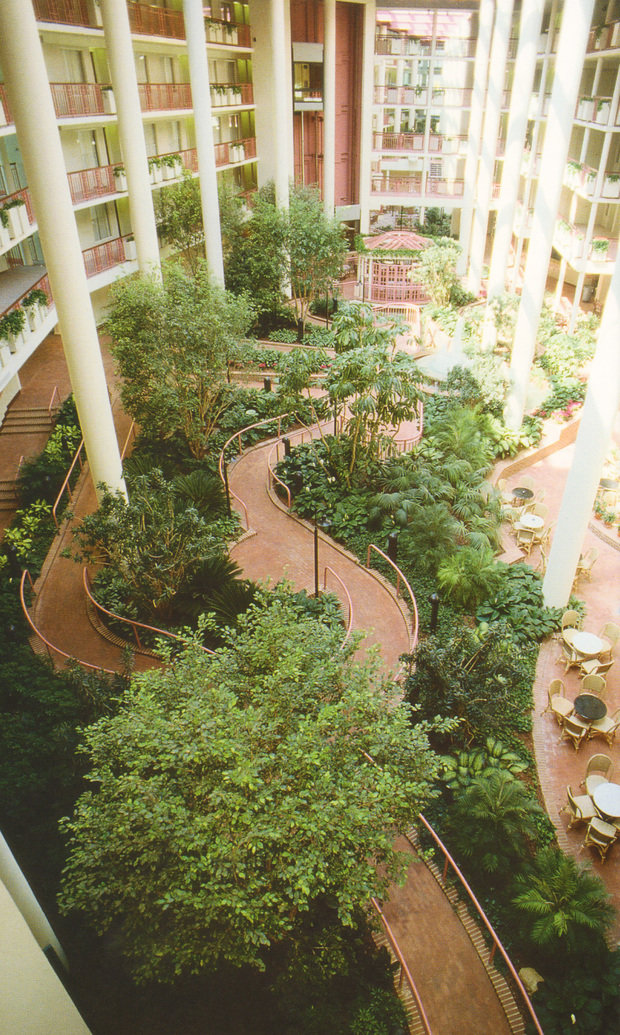 Фотография: Ландшафт в стиле Современный, Стиль жизни – фото на INMYROOM