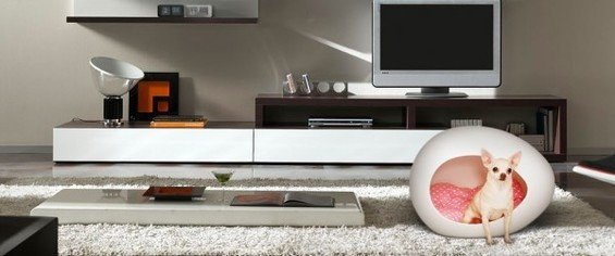 Фотография: Гостиная в стиле Хай-тек, Декор интерьера, Дом, Декор дома – фото на INMYROOM