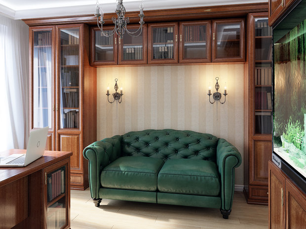 Фото из портфолио Кабинет – фотографии дизайна интерьеров на INMYROOM