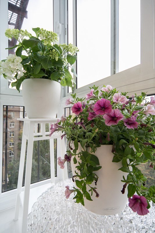 Фотография: Балкон, Терраса в стиле Скандинавский, Современный, Гостиная, Декор интерьера, Интерьер комнат, Тема месяца – фото на INMYROOM