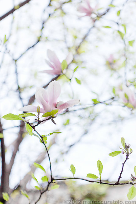 Фото из портфолио tre – фотографии дизайна интерьеров на INMYROOM