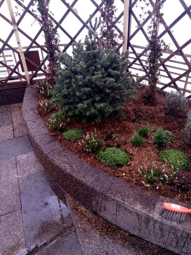 Фото из портфолио Ландшафтный дизайн приквартирного участка на Проспекте Мира – фотографии дизайна интерьеров на INMYROOM