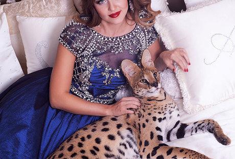 Дизайн спальни. Уютная классика