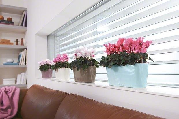 Фото из портфолио Кашпо LECHUZA DELTA 10 и 20 – фотографии дизайна интерьеров на INMYROOM