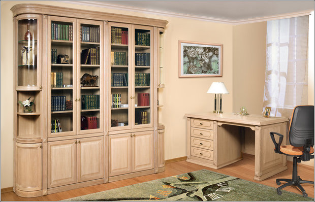 Фото из портфолио Библиотеки – фотографии дизайна интерьеров на INMYROOM