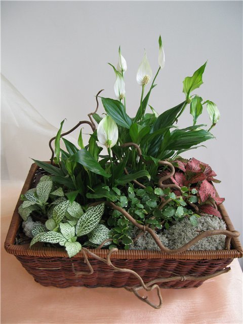 Фото из портфолио Флористика – фотографии дизайна интерьеров на INMYROOM