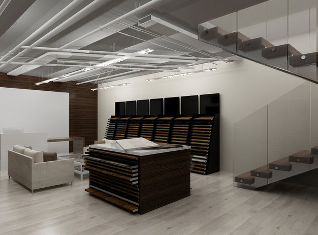 Фото из портфолио Шоурум – фотографии дизайна интерьеров на INMYROOM