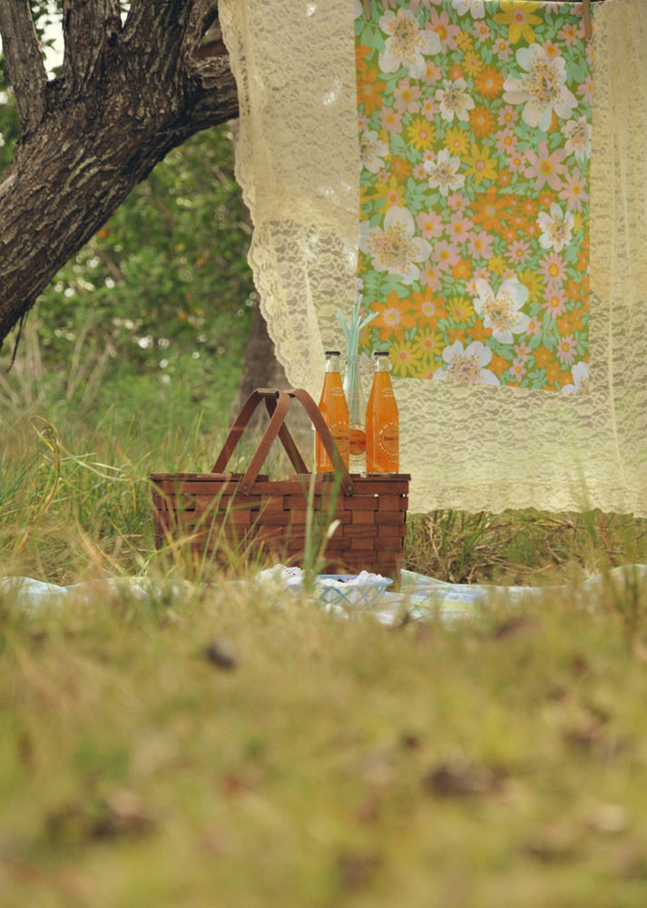 Фотография: Ландшафт в стиле Прованс и Кантри, Современный, Декор интерьера, Дом, Праздник, Дача, Пикник – фото на INMYROOM Фотография: Ландшафт в стиле Прованс и Кантри, Современный, Декор интерьера, Дом, Праздник, Дача, Пикник – фото на INMYROOM